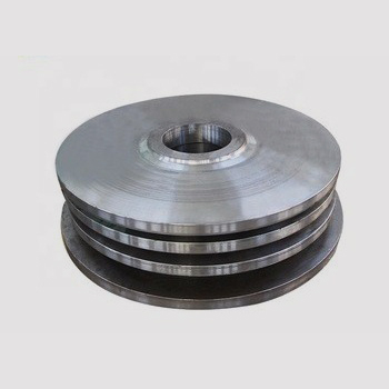 Disk Palsu